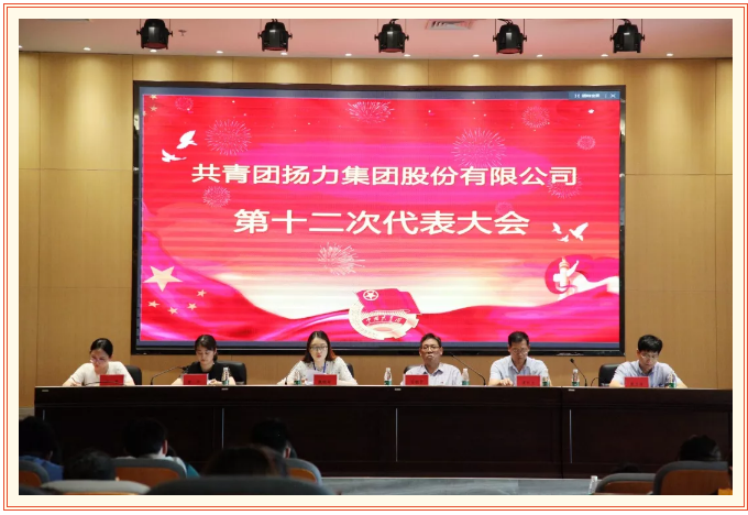 共青团恒峰国际集团股份有限公司第十二次代表大会圆满召开！